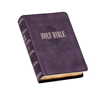 KJV Holy Bible, Compact Large Print Faux Leather Red Letter Edition - Ribbon Marker, King James Version, Saddle Tan